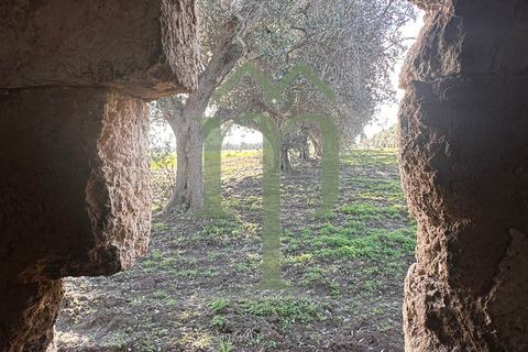 Ruinere i Brindisi, Brindisi, Brindisi - € 68.000 | Ref: Casolare Bern - foto 33